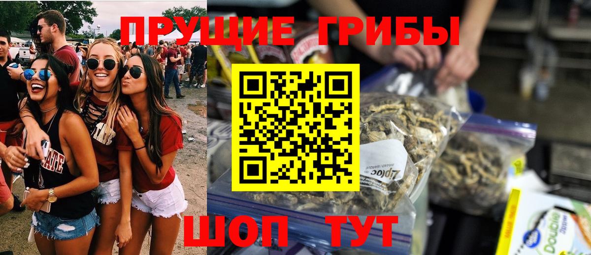 Псилоцибиновые грибы мухоморы  Вход с VPN  Моздок  Галлюциногенные грибы мицелий 