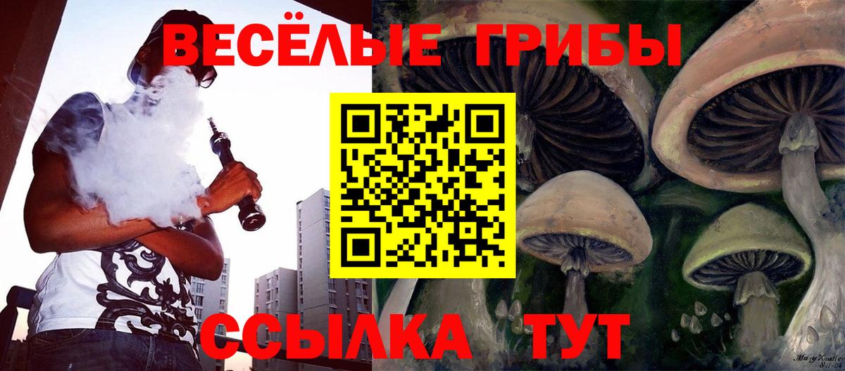 Псилоцибиновые грибы мухоморы Моздок